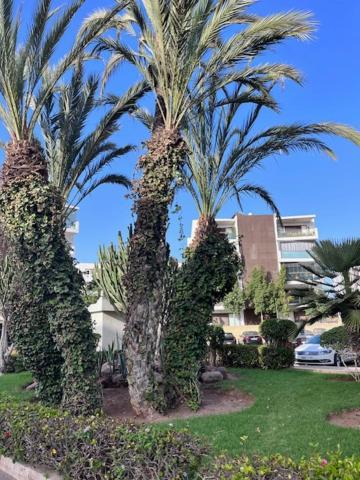 Appartement De Haut Standing En Residence Agadir Bagian luar foto
