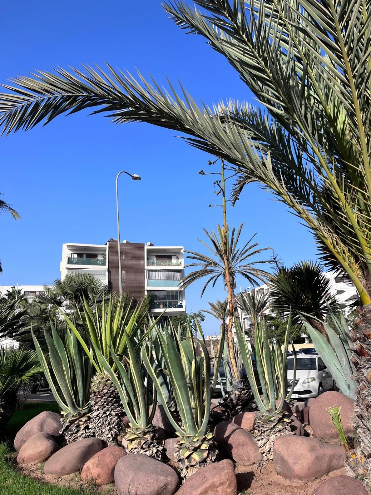 Appartement De Haut Standing En Residence Agadir Bagian luar foto